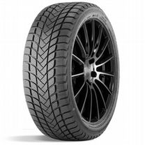 Landsail Winter Lander 215/50 R17