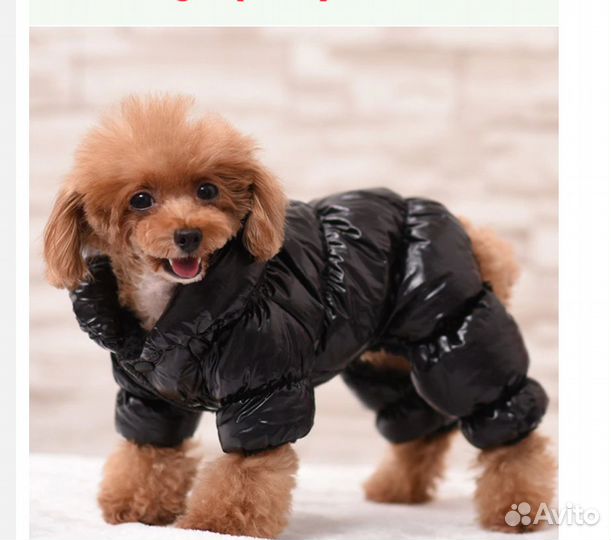 Зимняя одежда для собак пуховики для собак оптом