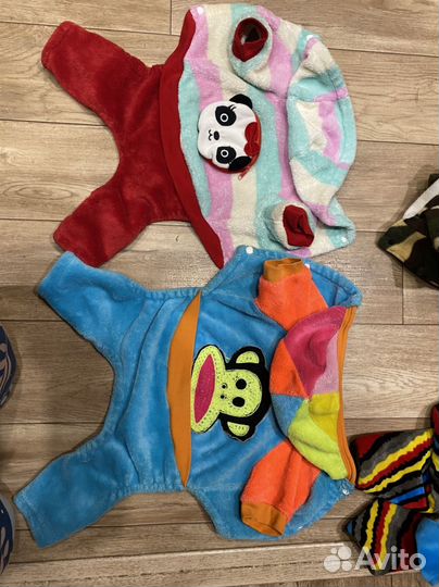 Одежда для собак