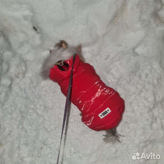 Комбенизон зимний xl