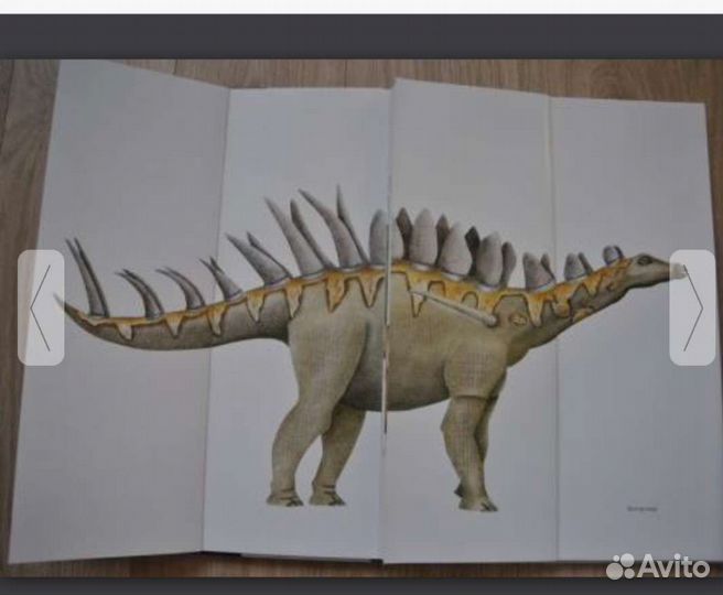 Детские книги Дивнозавры. Пито. Жерве