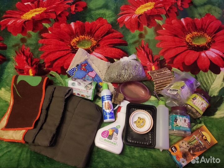 Вольер для морских свинок