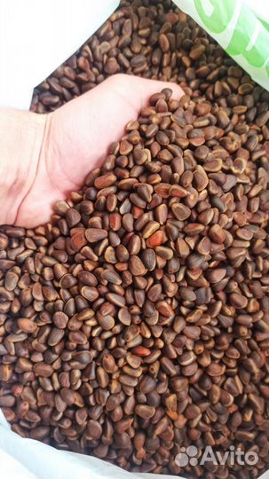 Шишки кедровые (отборные)