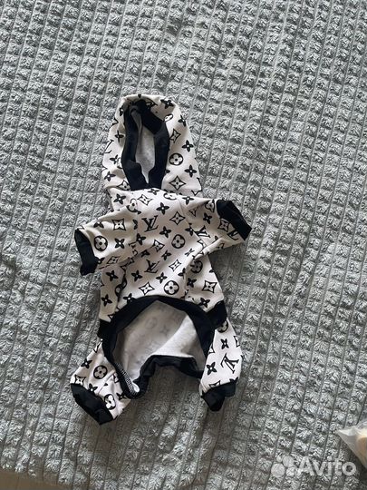 Одежда для собак мелких пород