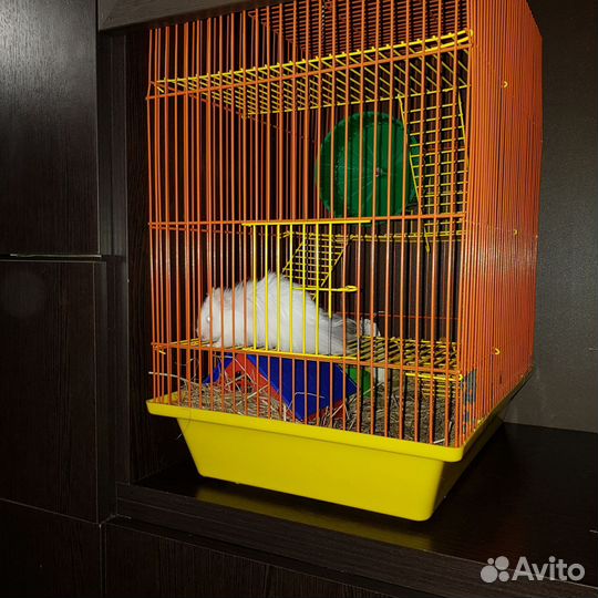 Клетка для сирийского хомяка