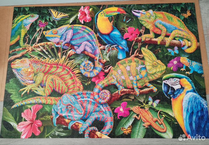 Пазлы Cherry pazzi 2000