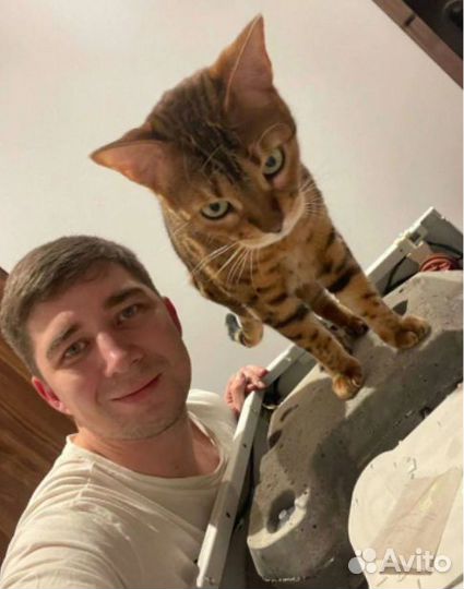 Ремонт Стиральных машин И Духовых Шкафов/ Бойлеров