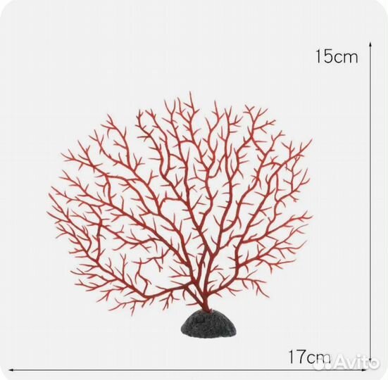 Аквариум Аквариум Анемон Коралл