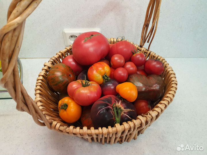 Домашние эксклюзивные помидоры