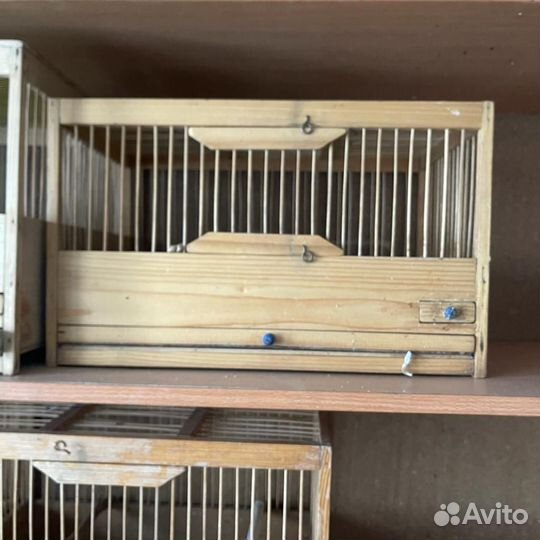 Клетки для канареек