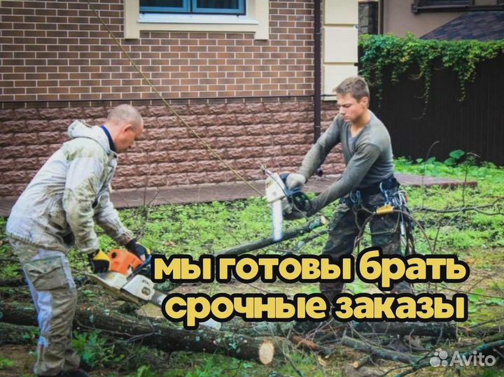Расчистка участка спил деревьев корчевание