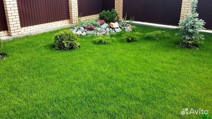Укладка газона