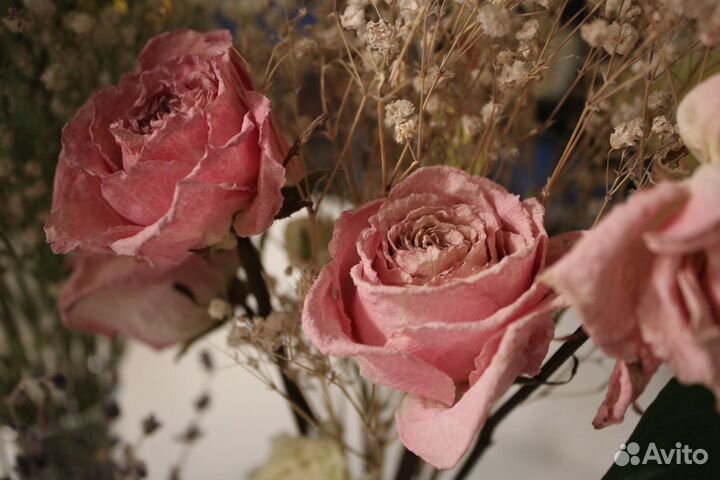 Объектив canon