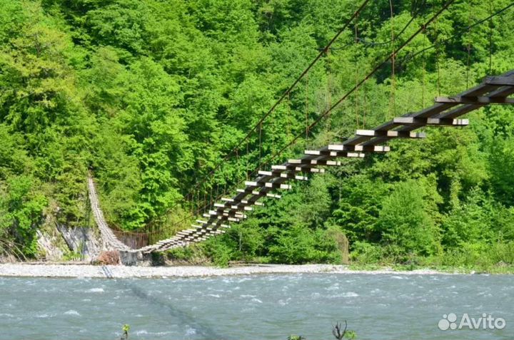 Вип-тур в г. Сочи от 7 ночей