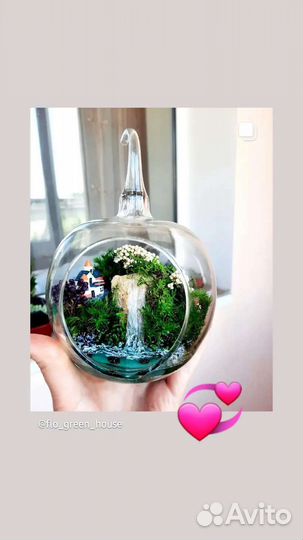 Флорариум, моссариум