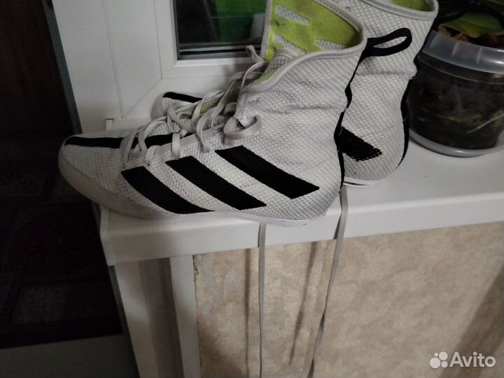 Боксерки adidas