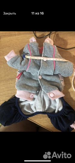 Одежда для маленьких собак