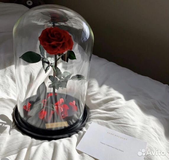 Роза в колбе