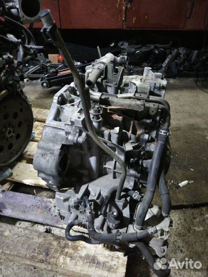 АКПП Nissan Murano Z50