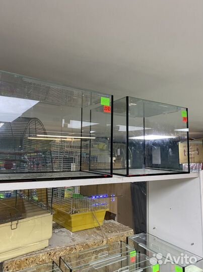 Аквариумы на заказ и в наличии до 100 л