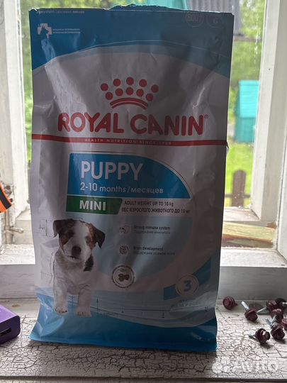 Сухой корм для щенков