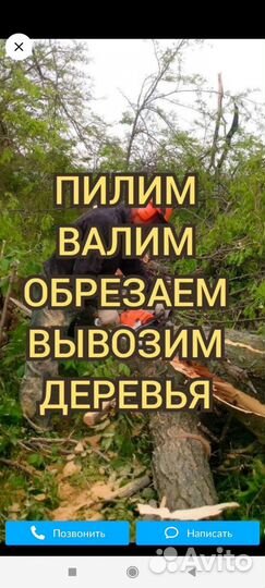 Спил деревьев, вывоз мусора, услуги самосвала
