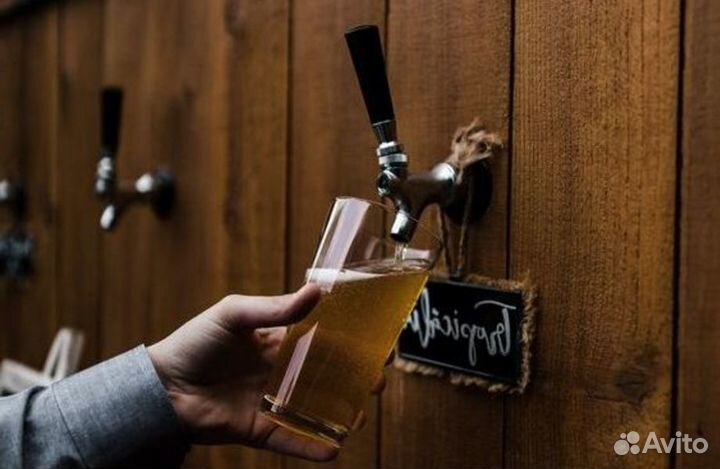 Магазин разливного пива рядом с метро/высокий траф