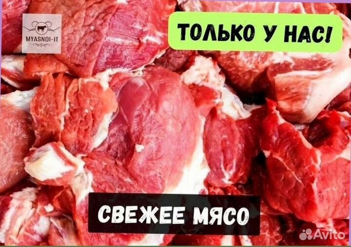 Мясо телятины