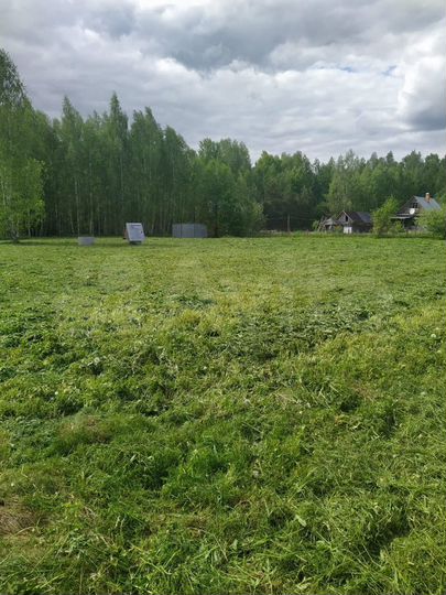 Участок 45 сот. (СНТ, ДНП)