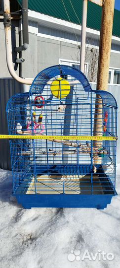 Клетка для среднего попугая