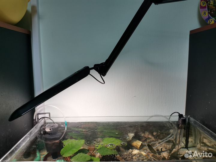 Аквариум с рыбкой