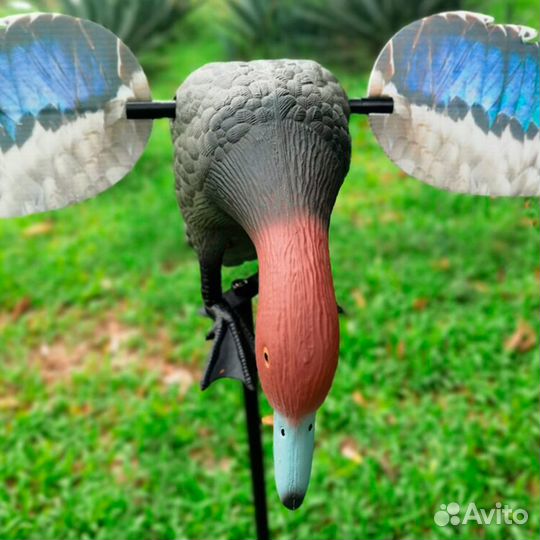 Приманка-махокрыл красноголового нырка