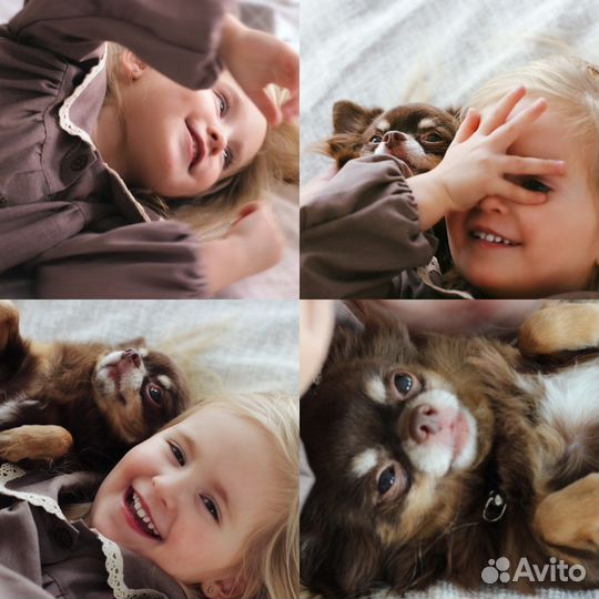 Детский фотограф. Новогдняя фотосессия