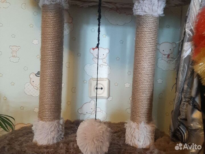 Кошачий домик