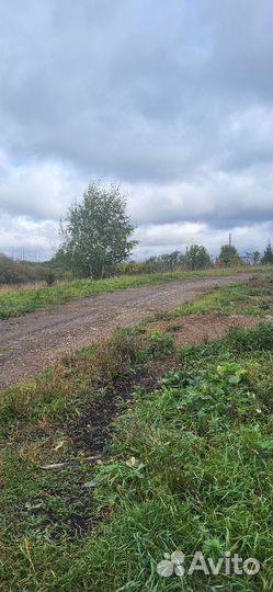 Зоогостиница для собак, передержка