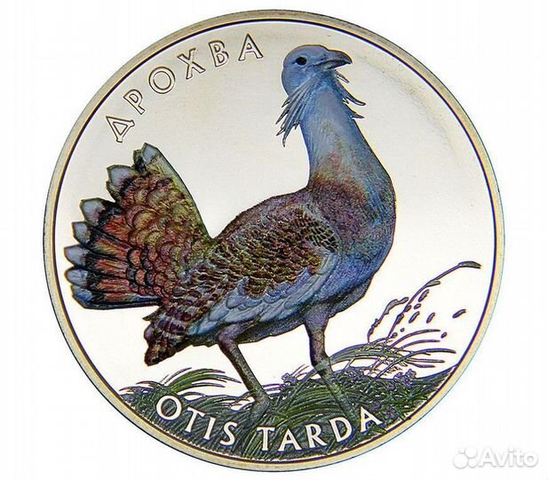 Рысь Евразийская 5грн 2023г