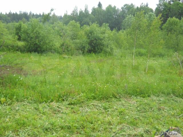 Участок 10 сот. (ИЖС)