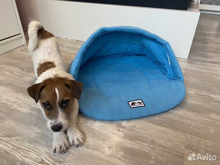 Лежанка домик для собаки