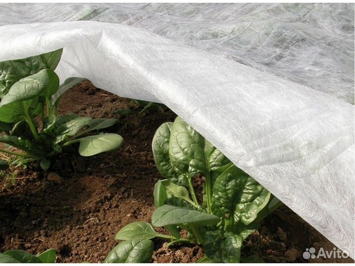 Укрывное полотно рулон ECO agros 40 320см (300м)