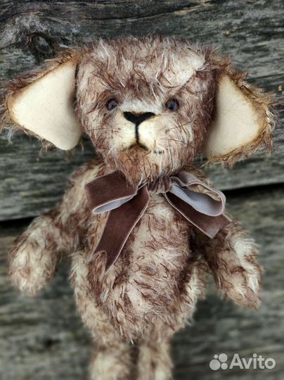 Тедди щенок