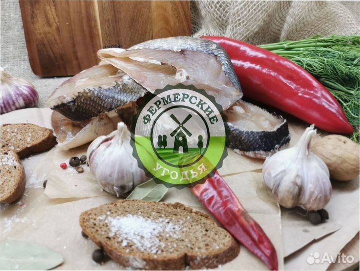 Рыба северная Язь Щука Щекур Мохтик Лещ Сырок