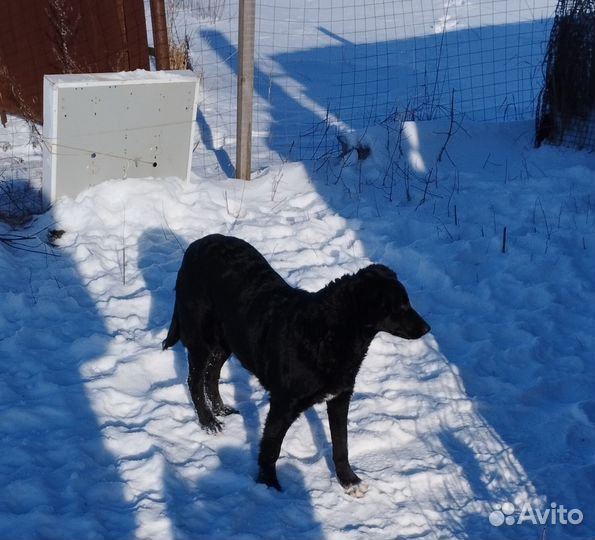 Молоденькая девочка в приюте
