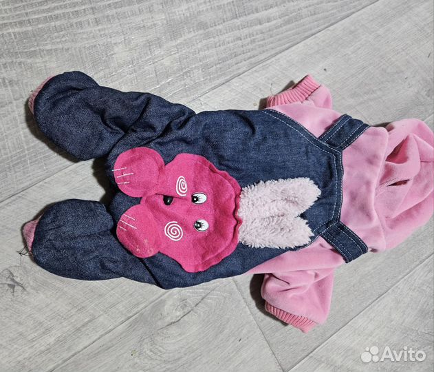 Одежда для собак. Комбинезон, дождевик, куртка