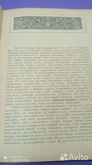 Книга: Звери, птицы и насекомые 1901г