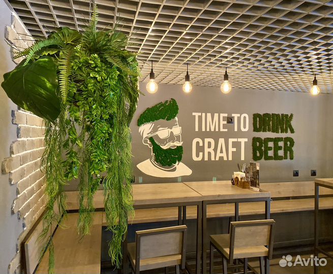 Вертикальное озеленение. Мох. Живая стена