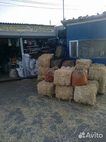 Сено,солома Покос 2023, 3-й квартал