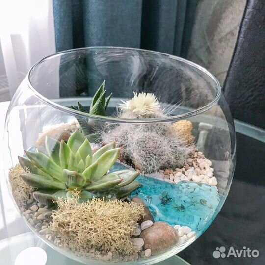 Флорариум размер S, M