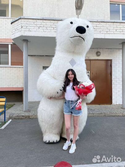 Поздравление от медведя-гиганта