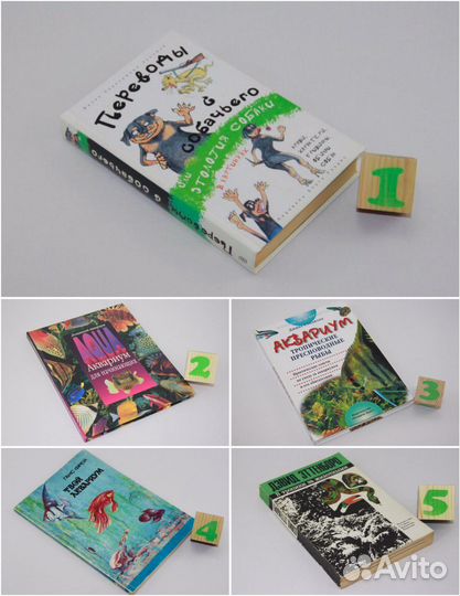 Аквариум. Тропические пресноводные рыбы