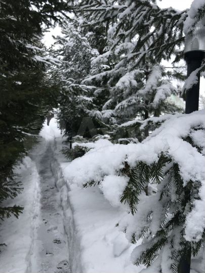 Дача 160 м² на участке 10 сот.